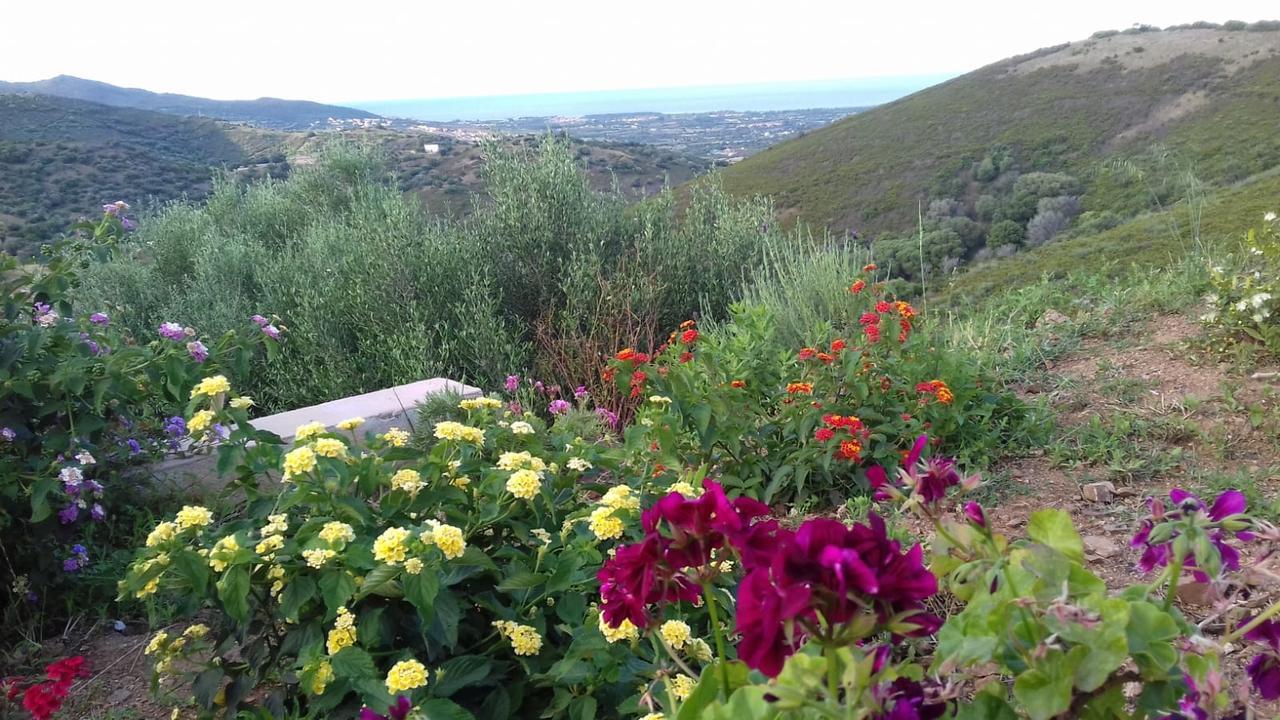 Azienda Agrituristica La Janna Di La Faj Budoni Exterior foto