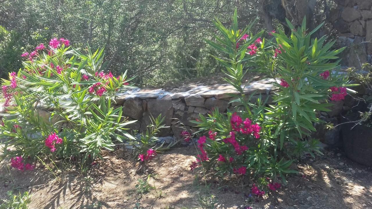 Azienda Agrituristica La Janna Di La Faj Budoni Exterior foto